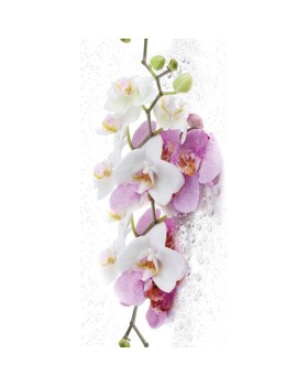 Стандарт Тропики 0155 Стандарт Тропики 0155