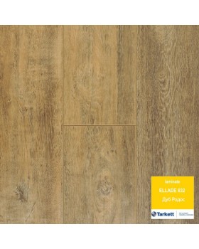 Tarkett Ellada 832 4V Дуб Родос 504424012