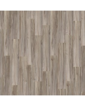 Lounge Acoustic Lounge Acoustic