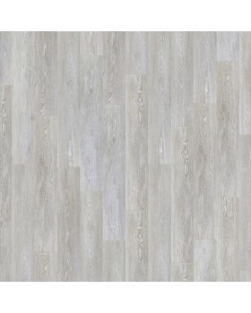 Lounge Husky Lounge Husky