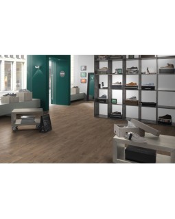 EPL146 ДУБ ОЛЬХОН ДЫМЧАТЫЙ-foto2