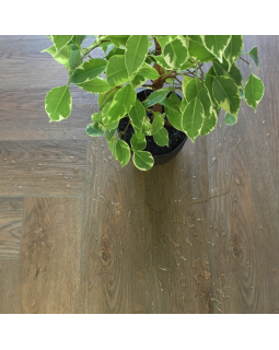 Виниловые полы Afloor Herringbone BM 005-H-foto2