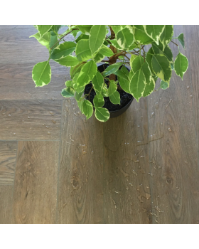 Виниловые полы Afloor Herringbone BM 005-H-foto2